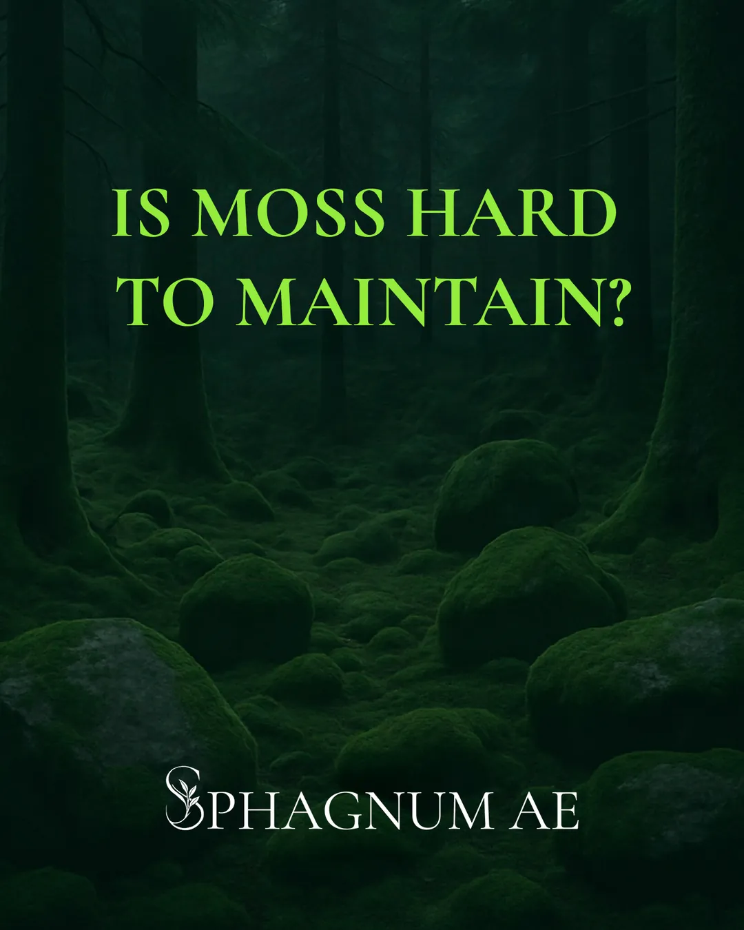 Is moss hard to maintain?